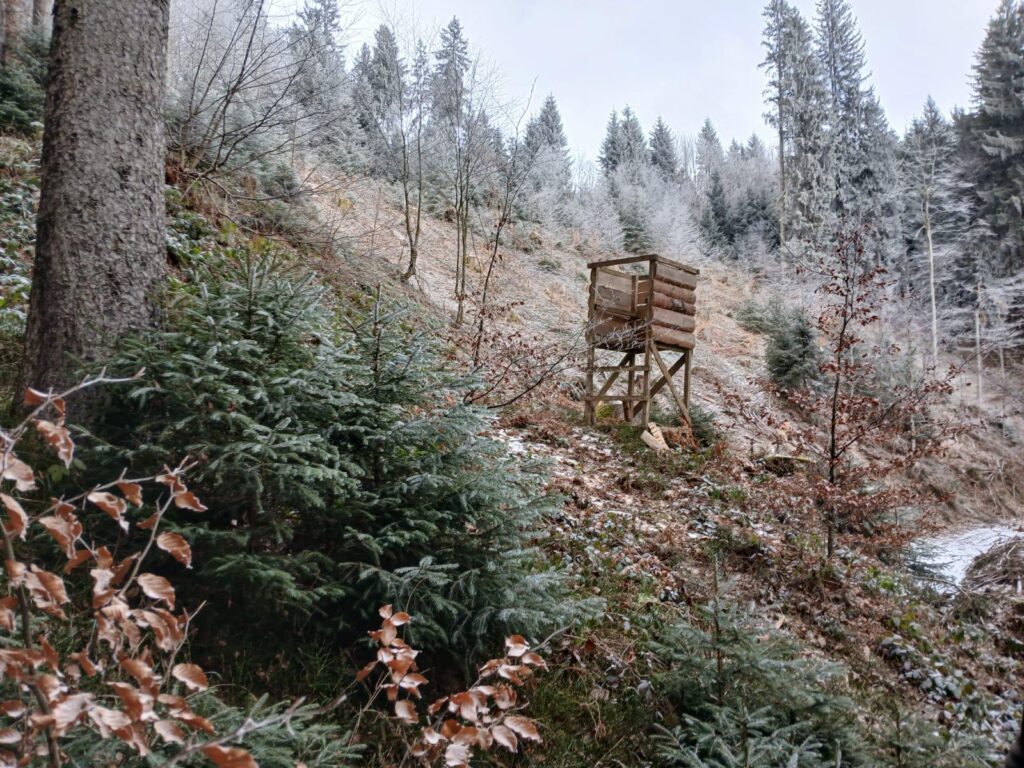 IMG 20260227 WA0054 1024x768