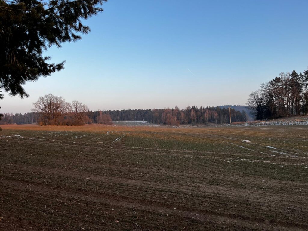 IMG 20260227 WA0058 1024x768