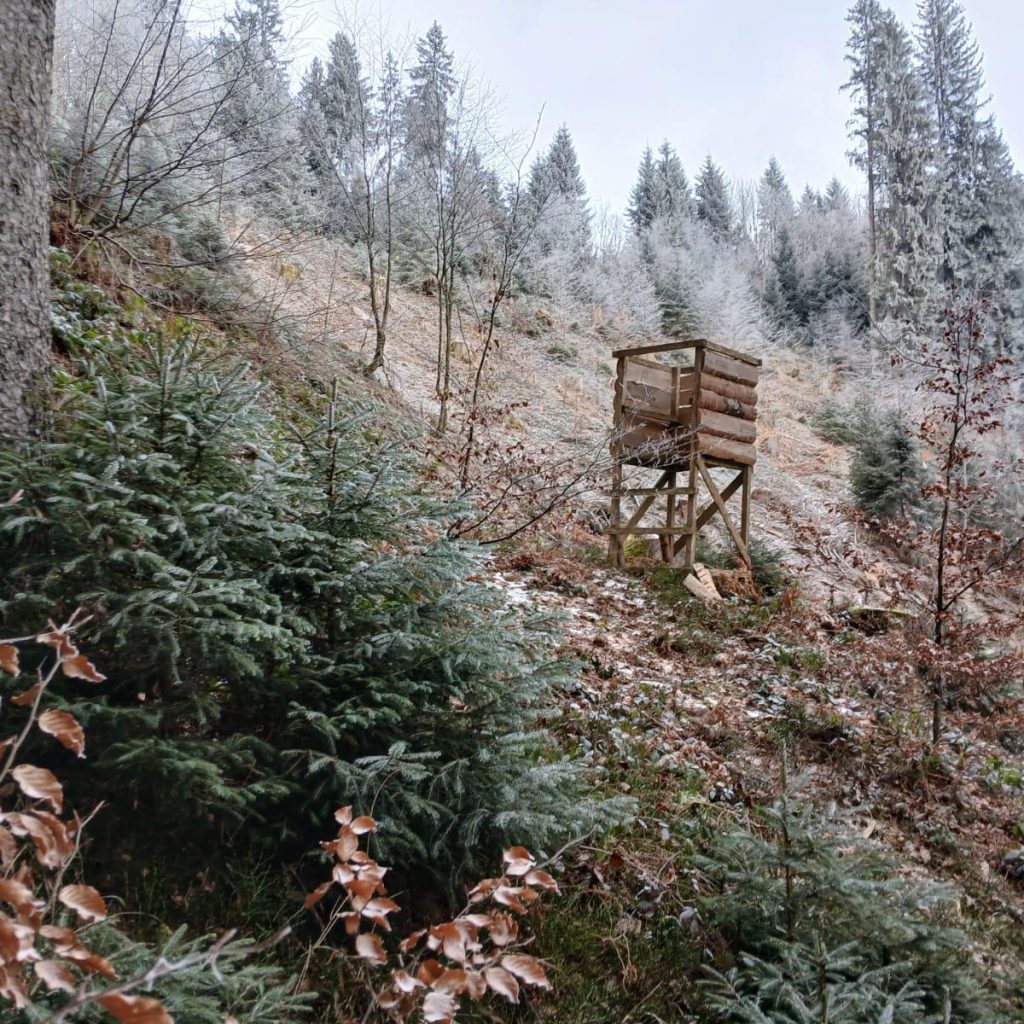 img 20260227 wa0054.jpg